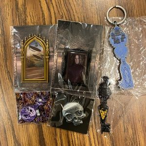 Harry Potter Subscription Box Pins